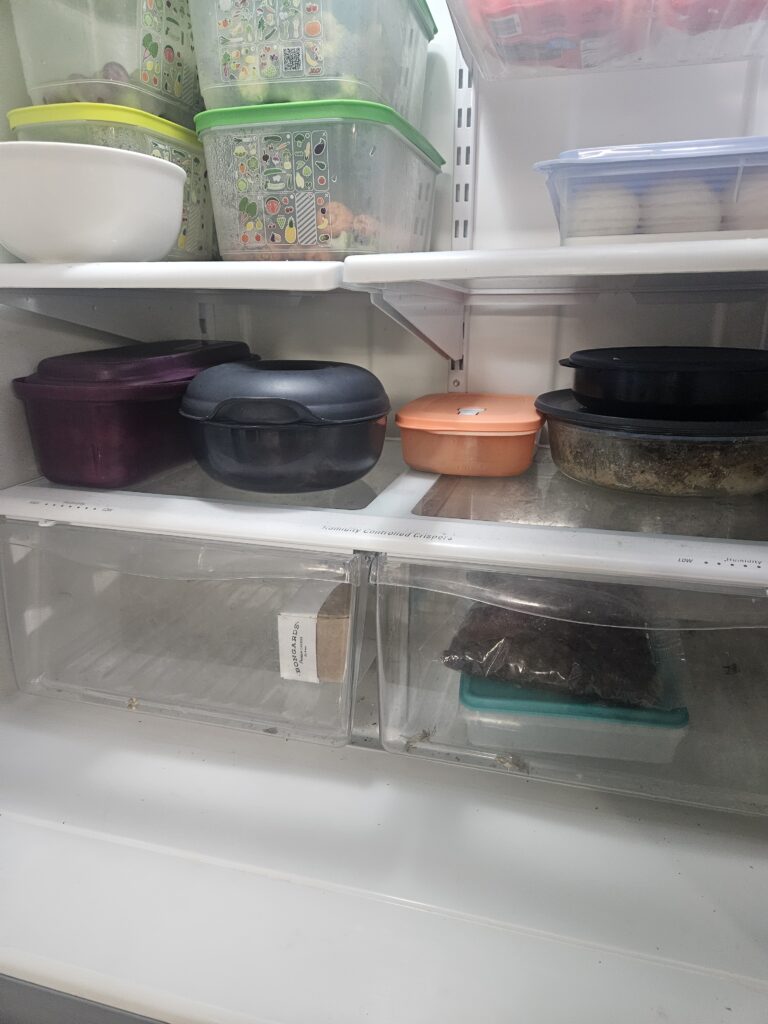 Inside view of my real-life fridge with stacked Tupperware containers and FridgeSmart produce keepers while choosing one shelf to reset for a calmer start to December.