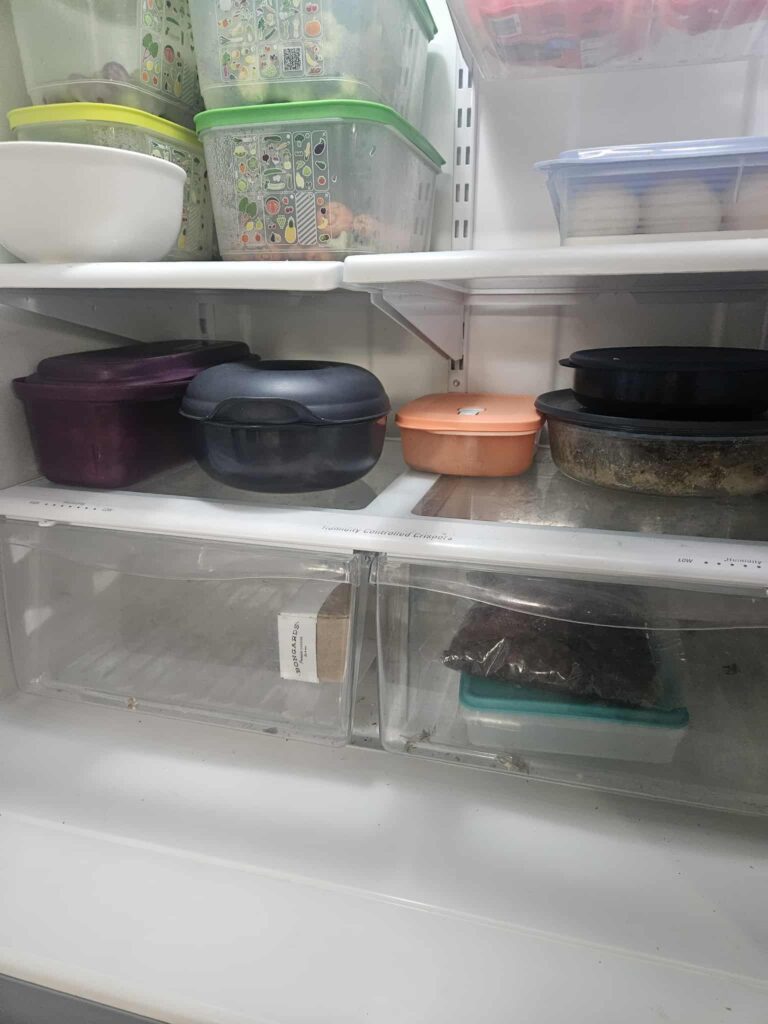 Refrigerator shelves holding neatly stored holiday leftovers in everyday containers, showing a calm and practical kitchen reset