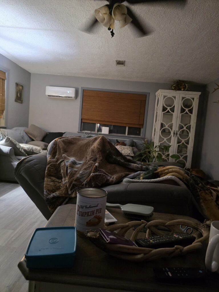 Cozy lived-in Louisiana living room at the end of the day, with Bubba tucked under a blanket and everyday things still on the table ~ a quiet reminder that everything doesn't have to be finished tonight.